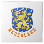 オランダのコート タイル (正面)