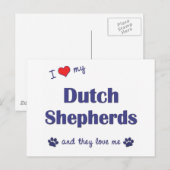 オランダのシェパード犬たちを愛してる(複数犬) ポストカード (正面/裏面)