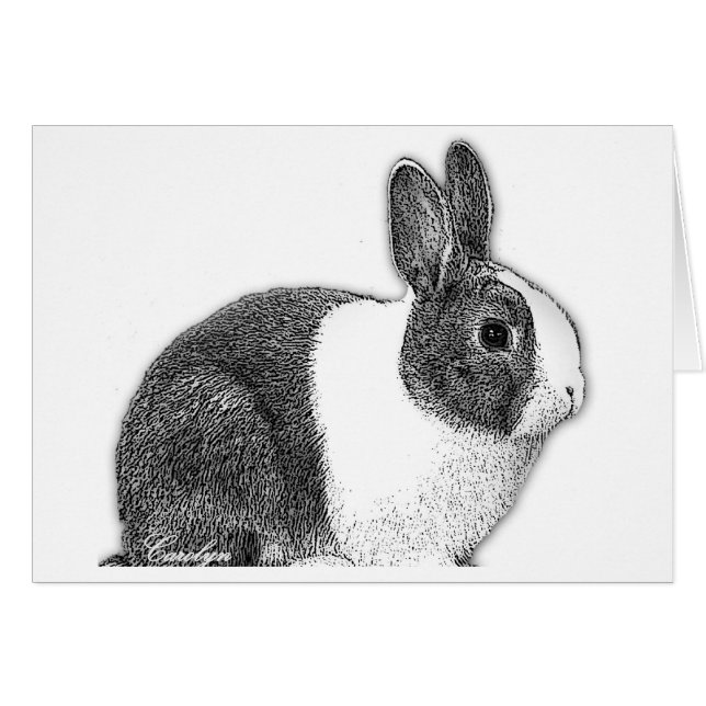 オランダのバニー (正面横)