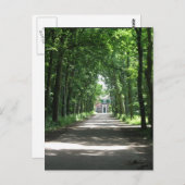 オランダのフォレストにあるオランダレーン写真はがき ポストカード (正面/裏面)