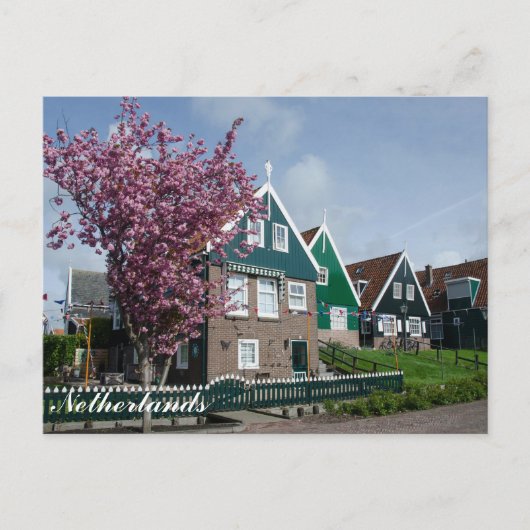 オランダのマルケン島の桜 ポストカード (正面)