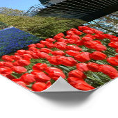 オランダの休日 ポスター (角)