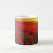 オランダの日没のチューリップ分野 コーヒーマグカップ (中央)