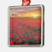オランダの日没のチューリップ分野 メタルオーナメント (左)