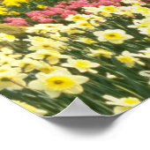 オランダの花々が咲くピンク・ケウケンホフ庭園 ポスター (角)