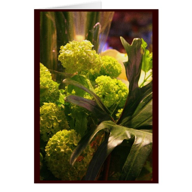 オランダの花 (正面)