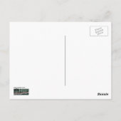 オランダの野に咲く青いヒヤシンスの花 ポストカード (裏面)