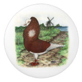 オランダのCapuchine古いハト セラミックノブ (正面)