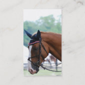 オランダのWarmbloodの馬の名刺 名刺 (裏面)