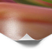 オランダはオランダと呼ばれる)、リッセ。ケウケンホフ フォトプリント (角)