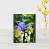 オランダアイリス カード (黄色い花)
