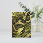 オランダアールヌーボーカエルinツリー ポストカード (スタンド正面)