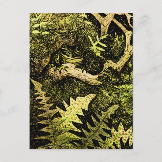 オランダアールヌーボーカエルinツリー ポストカード (正面)