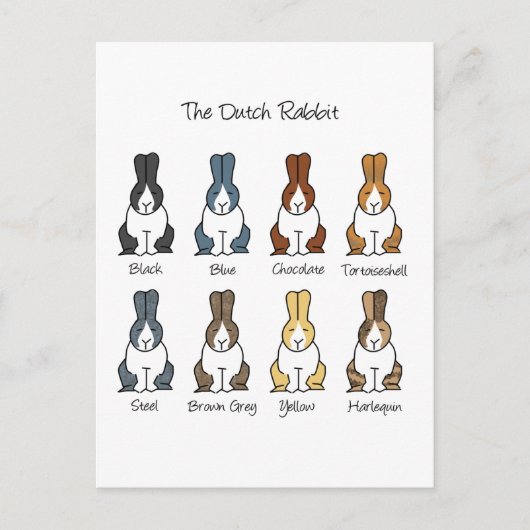 オランダウサギの色 ポストカード (正面)