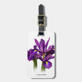 オランダエレガントアイリスパープルセンセションフラワー ラゲッジタグ (正面縦)