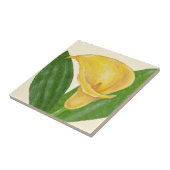 オランダカイウユリのタイル タイル (側面)