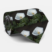 オランダカイウユリのタイ ネクタイ (ロール)
