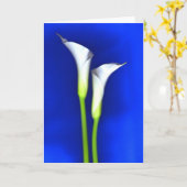 オランダカイウユリの挨拶状 カード (黄色い花)