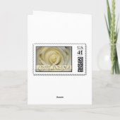 オランダカイウユリの結婚式の招待状 カード (裏面)