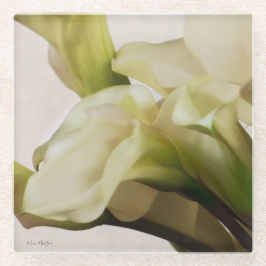 オランダカイウユリガラスのコースター ガラスコースター (正面)