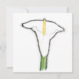 オランダカイウユリ ノートカード