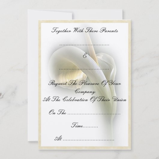 オランダカイウユリ-招待状 招待状 (正面)