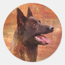 オランダシェパード – ホルランドスヘルダーソン