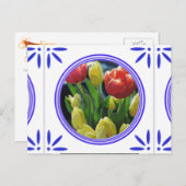 オランダチューリップ伝統的デルフトブルータイル ポストカード (正面/裏面)