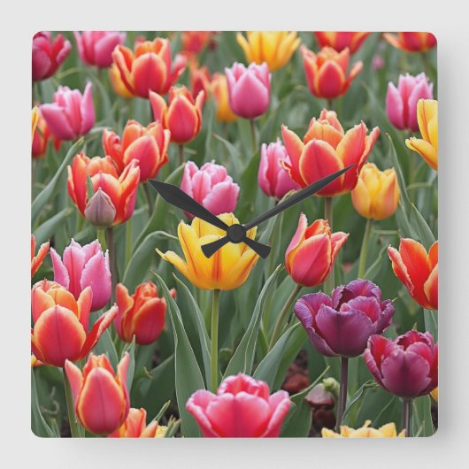 オランダチューリップ スクエア壁時計 (正面)