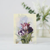 オランダチューリップ ポストカード (スタンド正面)