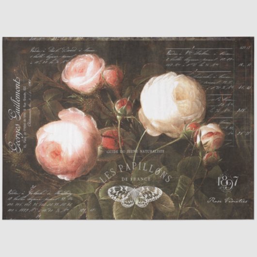 オランダバラとヴィンテージエフェメラデクページ 薄葉紙 (正面)