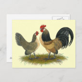 オランダバンタム：ブルークワイル ポストカード (正面/裏面)