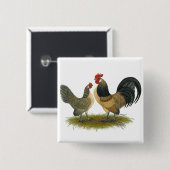 オランダバンタム:ブルークワイル 缶バッジ (正面&裏面)