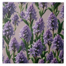 オランダヒヤシンス紫色の花