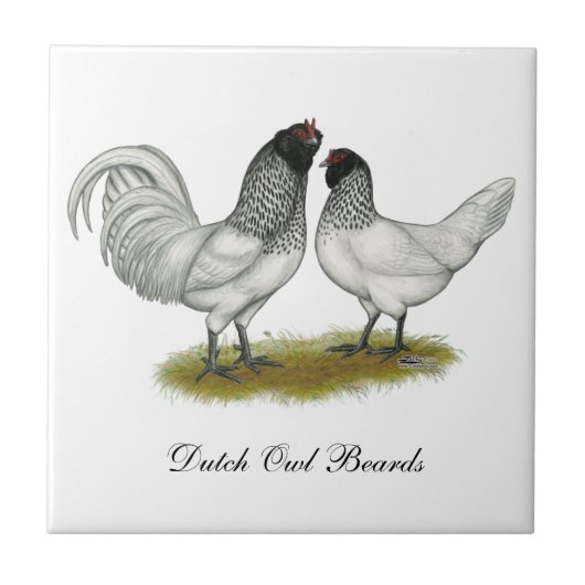 オランダフクロウヒゲ鶏 タイル (正面)
