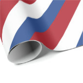 オランダフラグ ラッピングペーパー (ロールコーナー)