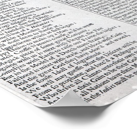 オランダボア ポスター (角)