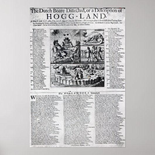 オランダボア ポスター (正面)