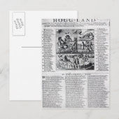 オランダボア ポストカード (正面/裏面)