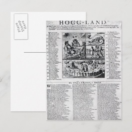 オランダボア ポストカード (正面/裏面)