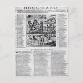 オランダボア ポストカード (正面)