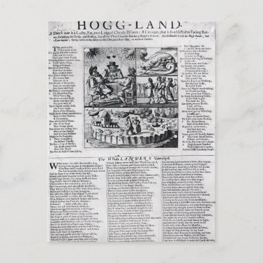 オランダボア ポストカード (正面)