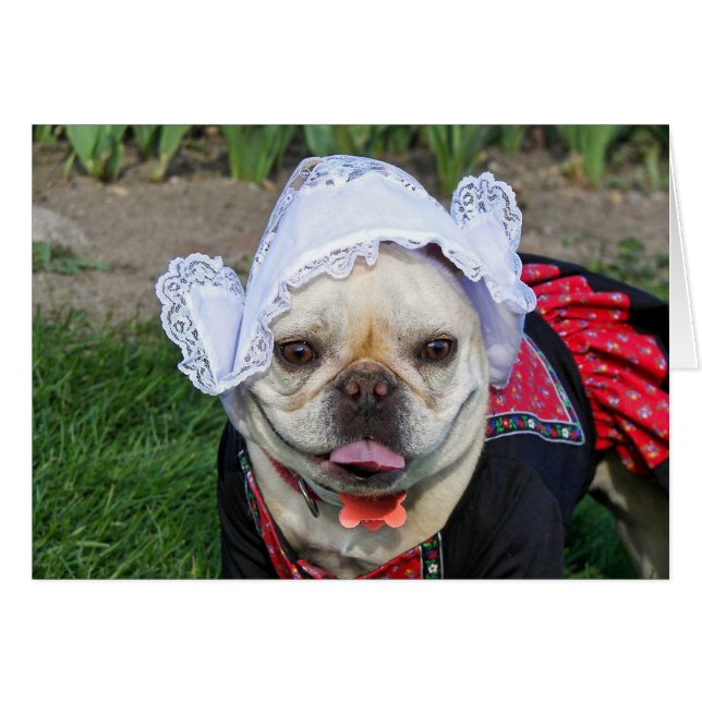 オランダポー (正面横)