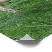 オランダ乳牛のポスタープリントギフト ポスター (角)