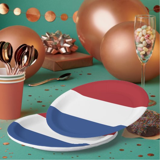 オランダ国旗 ペーパープレート (複数)