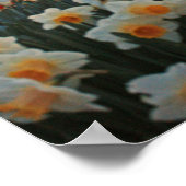 オランダ春 ポスター (角)