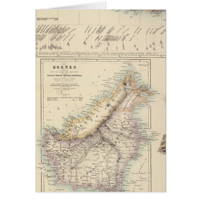 オランダ海の主要インディアン群体 (正面)