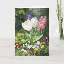 オランダ球春の花 カード