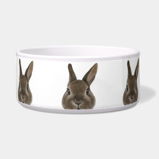 オランダ矮小兎茶色セラミッ食べ物を与えクス ボウル