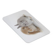 オランダ矮星とオランダのロップバニーの2つ マグネット (右側)